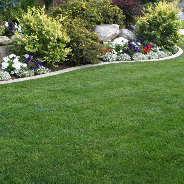 Curved flower bed with colorful plantings and perfect lawn edging