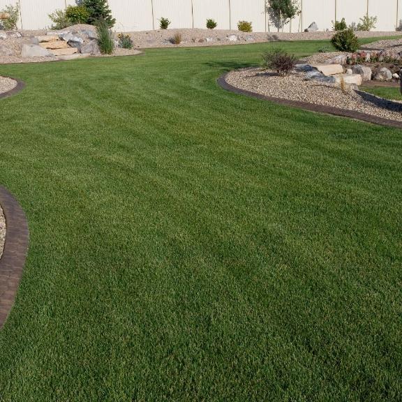 Artificial turf installation with stone border and drought-resistant landscaping
