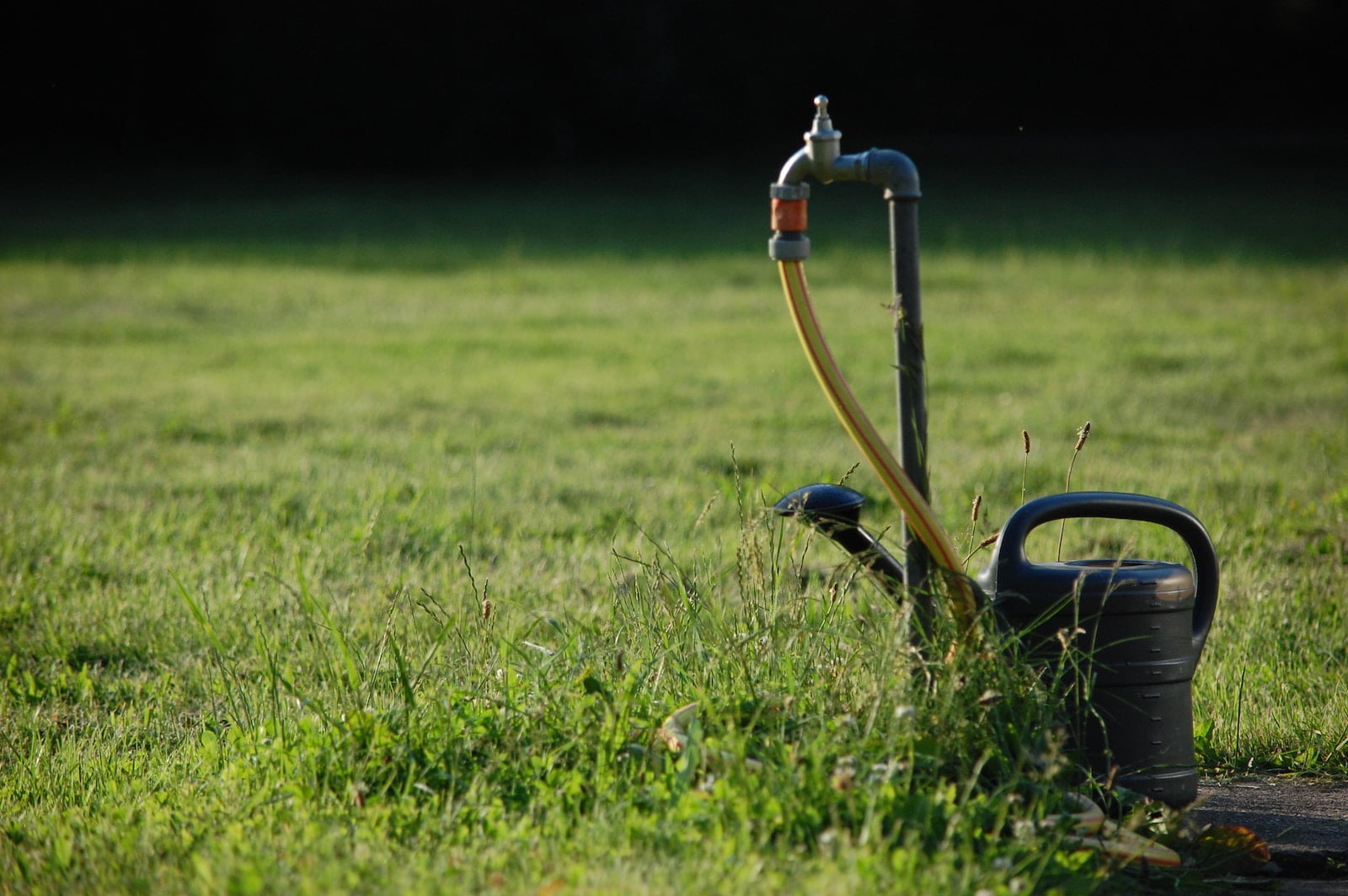 Water pump and irrigation equipment for landscape maintenance